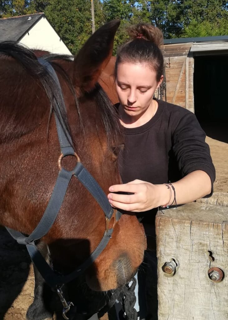 Séance de réflexologie cranio-sacrée pour cheval avec Anaïs Ruffier. La photo montre un toucher doux au niveau du crâne.