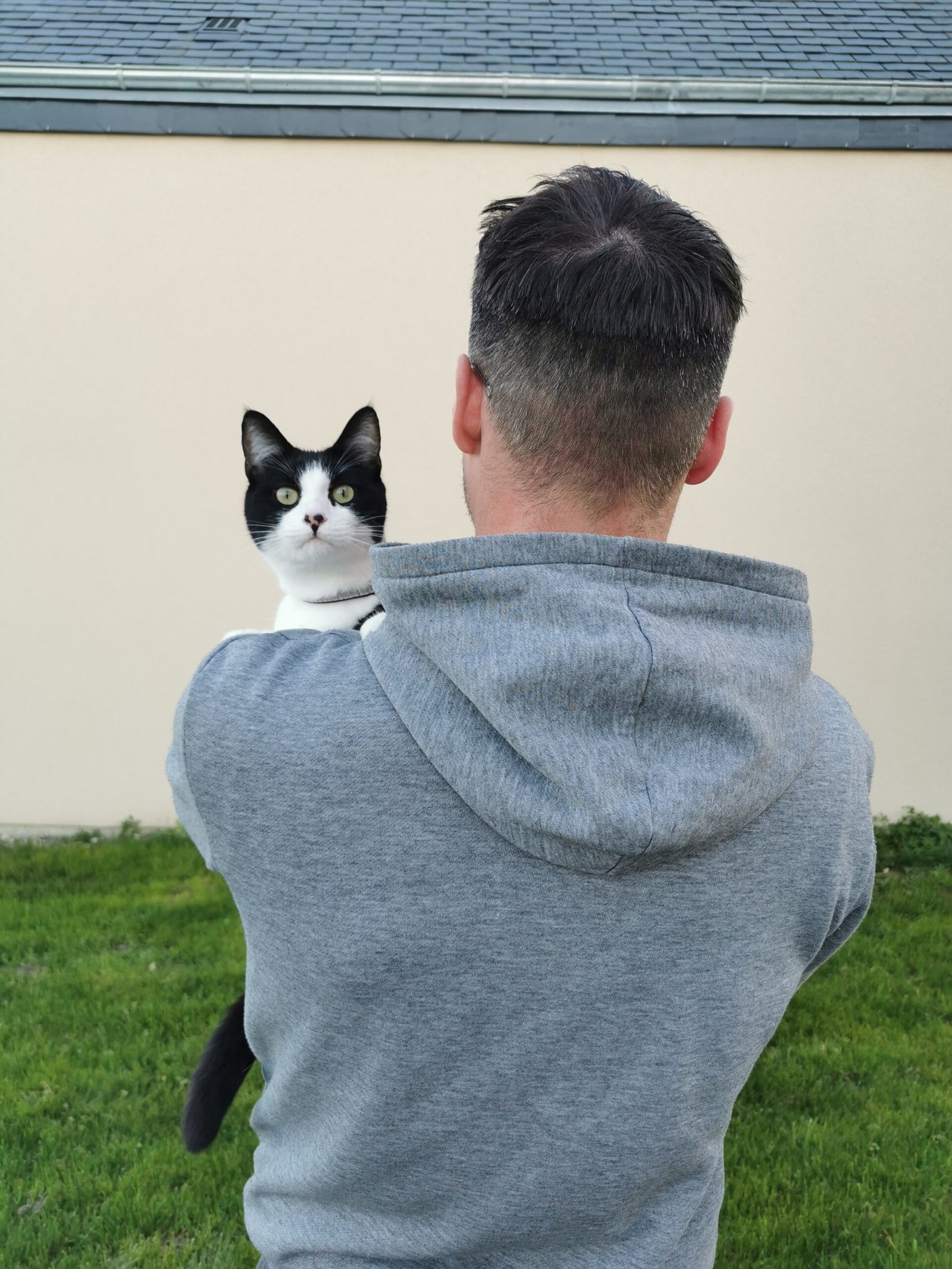 un homme de dos portant un chat noir et blanc sur son épaule droite, tous deux regardant vers l'horizon en extérieur.