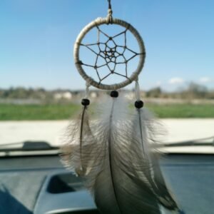 L’Irisé du Lac – Image 5