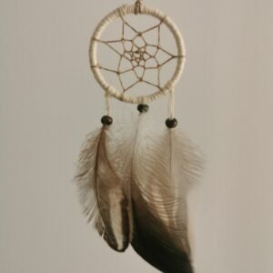 L’Irisé du Lac – Image 2