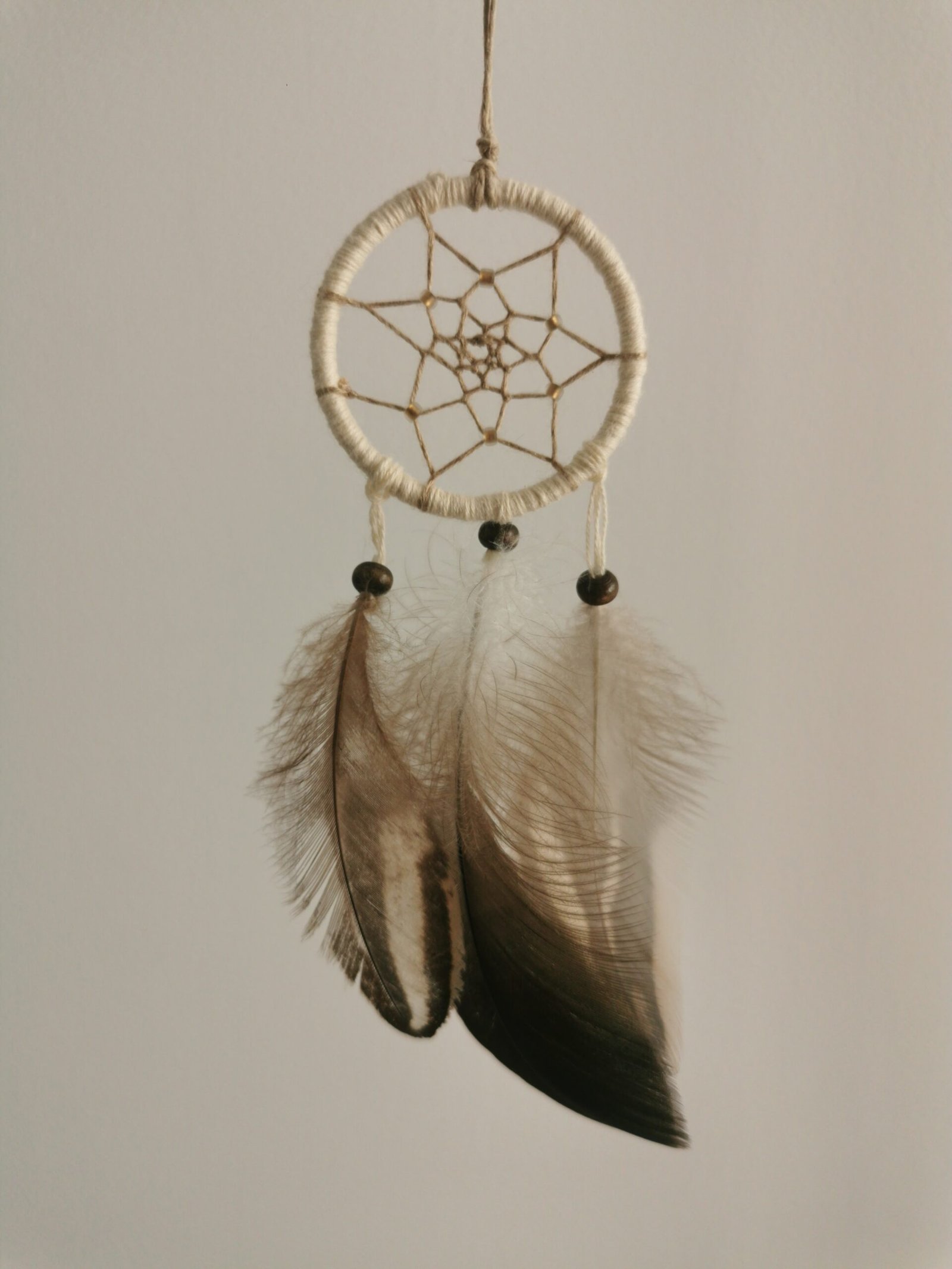 L’Irisé du Lac – Image 2