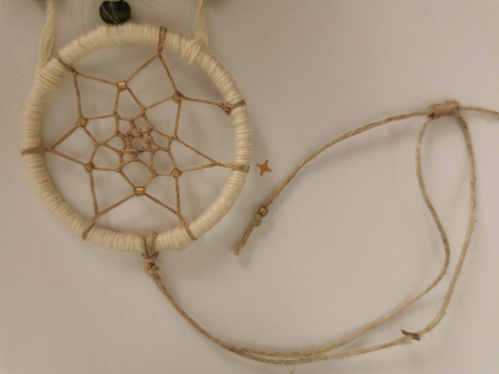 L’Irisé du Lac – Image 4