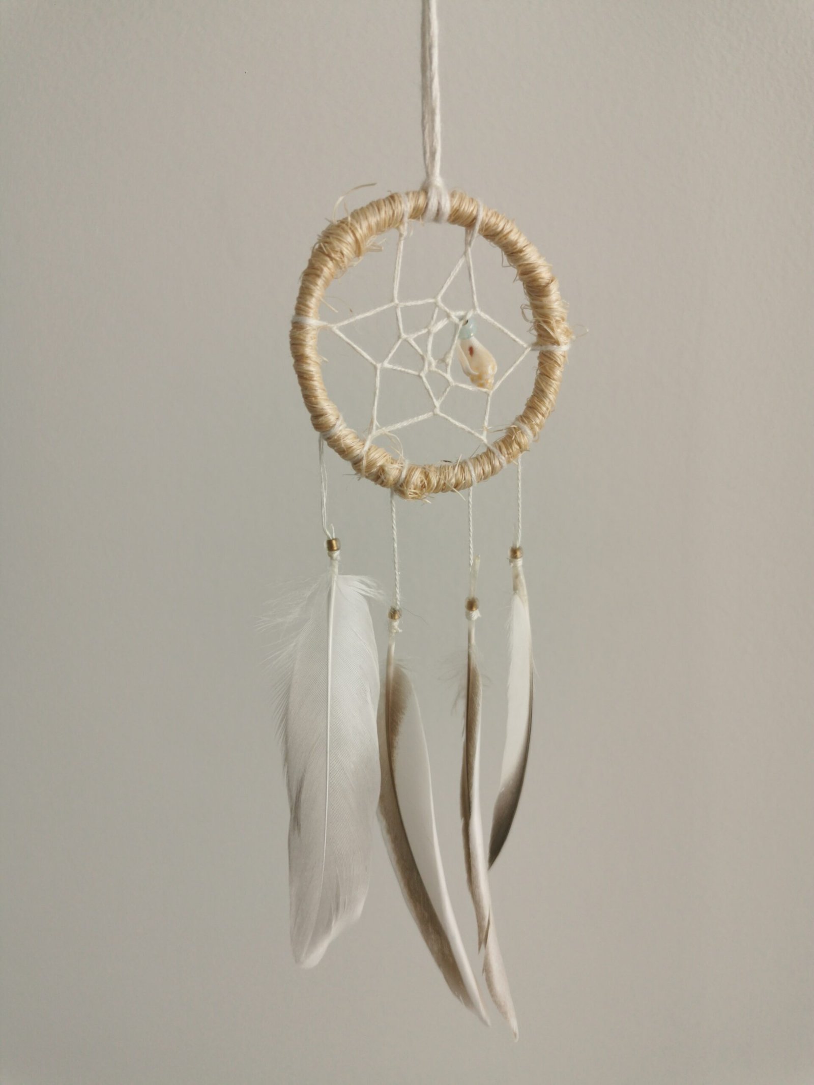 Littoral – Image 2