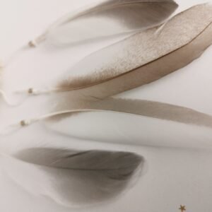 Littoral – Image 4