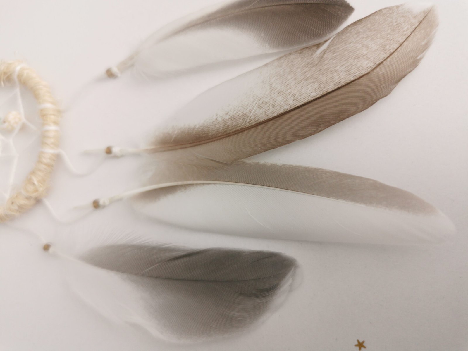 Littoral – Image 4