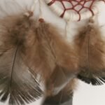 Parure Nomade acajou et écru avec plumes de dindon